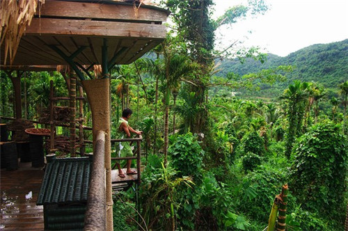 嗨起来蒸汽养生石锅鱼