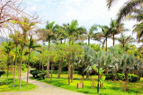 筋头巴脑香锅米饭