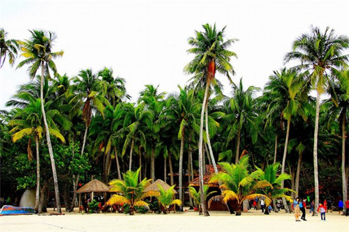 玉屏市区有什么景点（玉屏市区有什么景点可以玩）