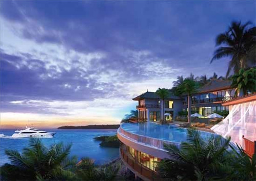 蓝如意茶杯品牌推荐（蓝如意三角梅图片）